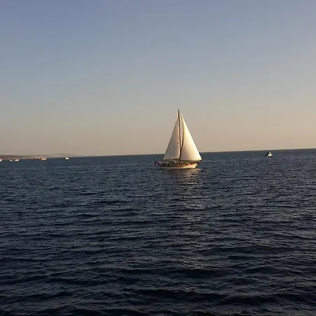 Deniz Yıldızı Butik