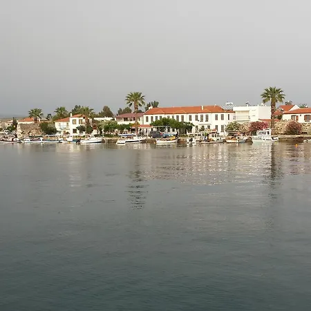 Deniz Yildizi Siğacık